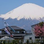 こどもの日のこいのぼり 由来と意味や超簡単な折り紙で作るこいのぼり